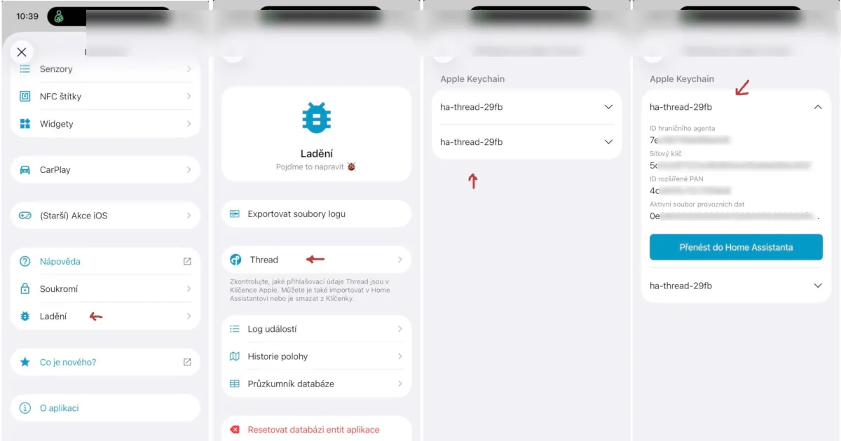 Menu Ladění v iPhone verzi aplikace Home Assistant